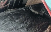 Lluvias provocan inundaciones en el Circuito Interior y un tramo de la Avenida Oceanía