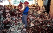 Acuerdo con la UE prioriza inversión extranjera, pero descuida a empresas mexicanas, alerta experto