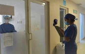 Guanajuato registra dos casos de miasis por gusano barrenador en adultos mayores