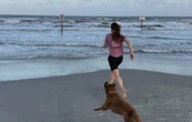 Astronauta de Artemis II se reencuentra con su perrita tras volver a la Tierra (Video)