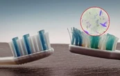 ¿Guardas mal tu cepillo? La UNAM explica cómo limpiarlo y cuándo cambiarlo