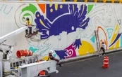 Movimiento Ciudadano denuncia a Brugada por la “ajolotización” y pintar de morado la CDMX