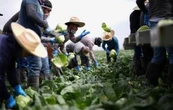México ante los convenios globales