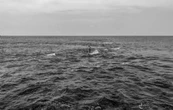 La fotografía de César Rodríguez, el mexicano que compite en el World Press Photo 2026