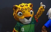“Zayu”, mascota del Mundial: la oportunidad perdida para el jaguar, especie amenazada