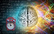 Cómo cambia el cerebro humano desde la infancia hasta la vejez, según la UNAM