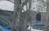 Un hombre mata a seis personas y toma rehenes en supermercado en Kiev