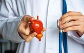 Urólogo señala que el tabaco es la principal causa del cáncer de vejiga: "Es enfermedad prevenible"