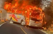 Arde Jalisco por narcobloqueos y quema de vehículos tras operativo; activan código rojo (Video)