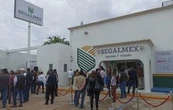 Exfuncionario ligado a desfalco de Segalmex pide amparo para salir de prisión
