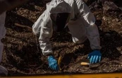 Un año después, la Fiscalía de Colima reporta el hallazgo de fosa con 44 cuerpos