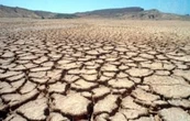 Región Valles del Yaqui y del Mayo: siembran trigo y cosechan deudas e incertidumbre