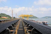 TKV vượt bão, giữ nhịp tăng trưởng