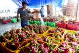 Xuất khẩu đi châu Âu gặp khó vì thiếu chứng nhận an toàn thực phẩm