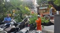 Cây xanh cỡ lớn trên phố Hà Nội bất ngờ gãy cành, đè loạt xe máy