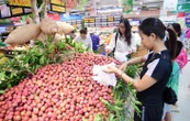 Mận hậu Sơn La 'đổ bộ' siêu thị với giá bất ngờ