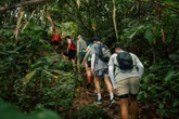 Tạm dừng hoạt động leo núi tuyến 3 đỉnh Tam Đảo