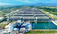Xin ý kiến Thủ tướng cho làm mô hình 'chung cư nuôi heo' ở Việt Nam