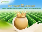 Đậu nành - người bạn đồng hành của mọi nhà