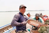 Săn trăm ký cá từ đống chà khô hồ Dầu Tiếng