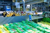 Doanh nghiệp phân bón giữ giá bán giữa biến động đầu vào