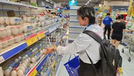 Giá gà và trứng giảm sâu, người nuôi thua lỗ