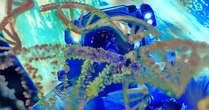 'Gene tối' trỗi dậy - mối đe dọa đáng sợ khi con người du hành vũ trụ