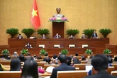 Quốc hội 'chốt' loạt chính sách ưu đãi doanh nghiệp tư nhân làm đường sắt