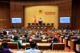 Quốc hội 'chốt' nhiều cơ chế, chính sách đặc biệt xây dựng nhà máy điện hạt nhân
