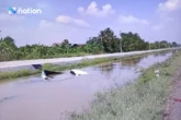 Bắt thanh niên Thái Lan dàn dựng 4 vụ tai nạn ô tô trục lợi bảo hiểm khoảng 811 triệu đồng