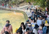 Khách Hàn ngày càng 'mê mệt' Phú Quốc