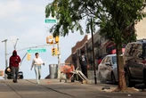 New York 'đại chiến' với chuột, tung vũ khí công nghệ cao