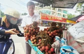 Giá nhiều loại trái cây ở mức thấp