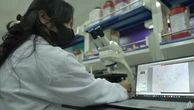Người Đông Nam Á đang 'ăn nhựa mỗi ngày' mà không hay biết