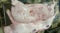 Vụ C.P. Việt Nam bị tố bán heo bệnh: Không khởi tố vụ án vì không có dấu hiệu tội phạm