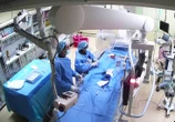 Ngưng tim bất ngờ khi đi khám, nữ bệnh nhân ở Cà Mau thoát chết thần kỳ