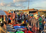 Một ngày nhiều sức sống ở cảng cá Liên Hương