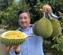 Bảy vấn đề của ngành sầu riêng cần khắc phục cấp bách