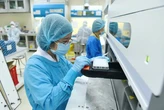 TP.HCM: 83% mẫu giải trình tự gene ca COVID-19 là biến chủng NB.1.8.1