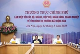 Thủ tướng: Khẩn trương nghiên cứu chính sách đánh thuế bất động sản với đất, nhà ở không sử dụng