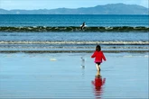 Phát hiện tác dụng thần kỳ của ánh sáng ban ngày đối với hệ miễn dịch