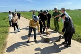 'Báo thủ' gây rối, cha mẹ phải đi quét dọn rác của con