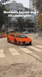 Chú chó kiên quyết chặn đầu Lamborghini: 'Siêu bò' đánh lái đến đâu, 'boss' chắn đến đấy