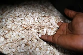 Hạt giống châu Phi bay vào vũ trụ, thử nghiệm trồng trên Mặt trăng và sao Hỏa