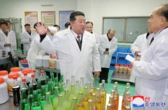 Hàn Quốc nói Triều Tiên tăng trưởng cao nhất trong 8 năm qua nhờ hợp tác với Nga