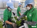 Hoàng Anh Gia Lai chậm trả lãi trái phiếu, sắp có hơn 1.000 tỉ thu nhập bất thường