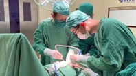 Bất ngờ xơ teo gan do sỏi mật
