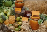 Ngạc nhiên với "Mắm muôn miền"