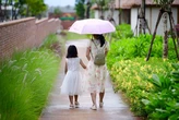 Khó khăn giải quyết ly hôn, tòa án phải xác minh mâu thuẫn vợ chồng tại nơi cư trú