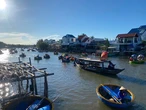 Chủ tịch phường ở Hội An nói gì việc loa kẹo kéo 'tra tấn' rừng dừa Cẩm Thanh?